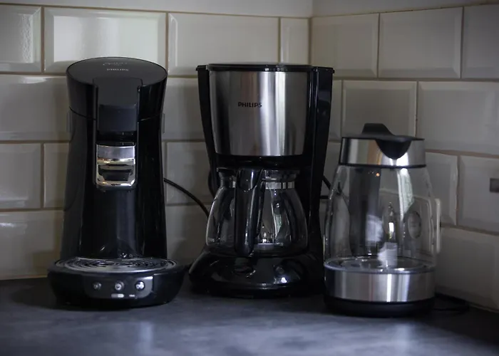 Landelijk Gelegen De Kleine Wulfter Ferienhaus *